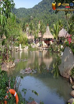 呀诺达雨林文化旅游区